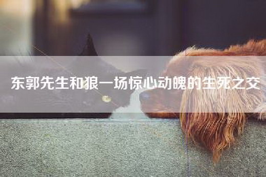 东郭先生和狼一场惊心动魄的生死之交