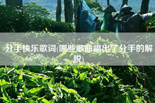 分手快乐歌词(哪些歌曲唱出了分手的解脱)