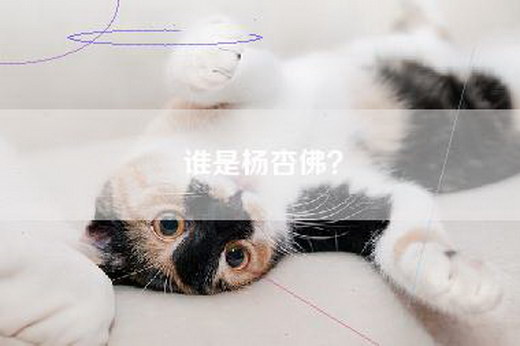 谁是杨杏佛？