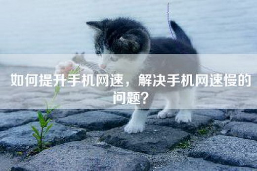 如何提升手机网速，解决手机网速慢的问题？