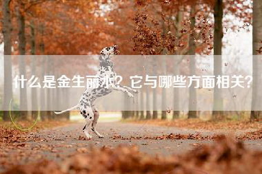 什么是金生丽水？它与哪些方面相关？