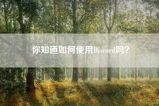 你知道如何使用Discord吗？