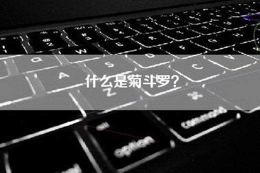 什么是菊斗罗？