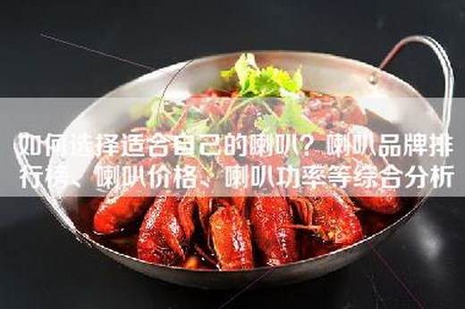 如何选择适合自己的喇叭？喇叭品牌排行榜、喇叭价格、喇叭功率等综合分析