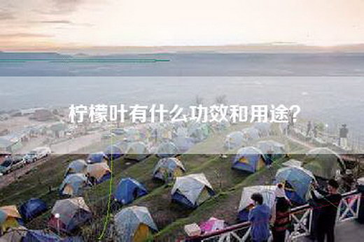 柠檬叶有什么功效和用途？