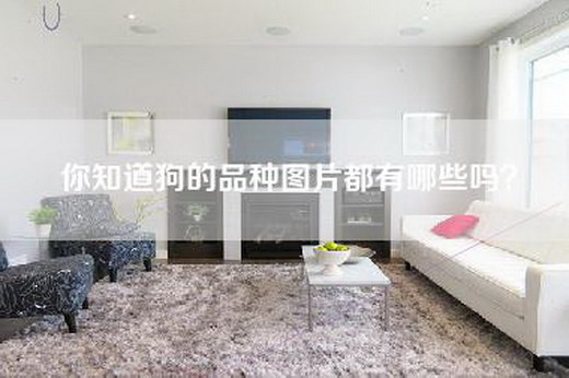 你知道狗的品种图片都有哪些吗？