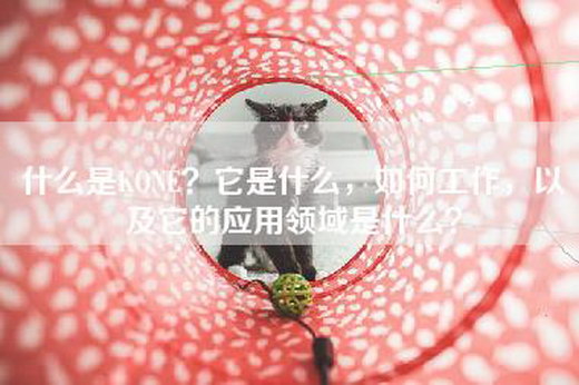 什么是KONE？它是什么，如何工作，以及它的应用领域是什么？