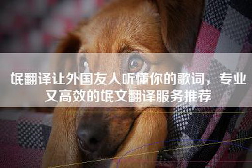 氓翻译让外国友人听懂你的歌词，专业又高效的氓文翻译服务推荐