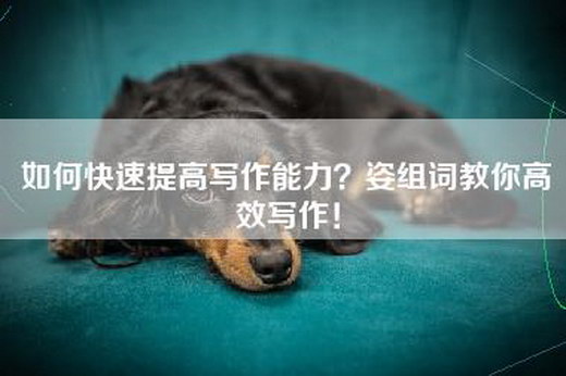 如何快速提高写作能力？姿组词教你高效写作！