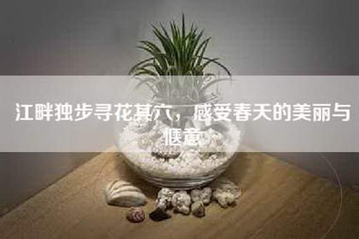江畔独步寻花其六，感受春天的美丽与惬意