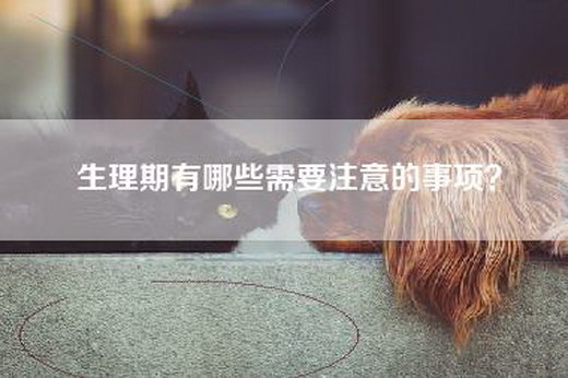 生理期有哪些需要注意的事项？
