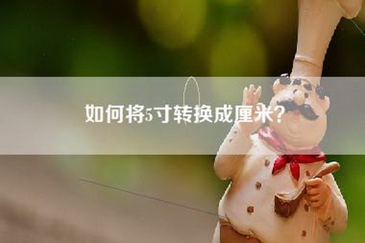 如何将5寸转换成厘米？