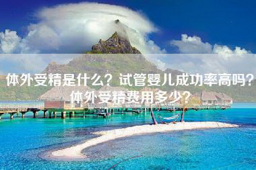 体外受精是什么？试管婴儿成功率高吗？体外受精费用多少？