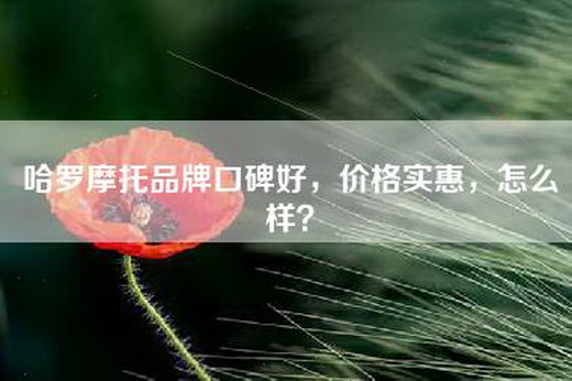 哈罗摩托品牌口碑好，价格实惠，怎么样？