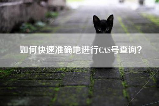 如何快速准确地进行CAS号查询？