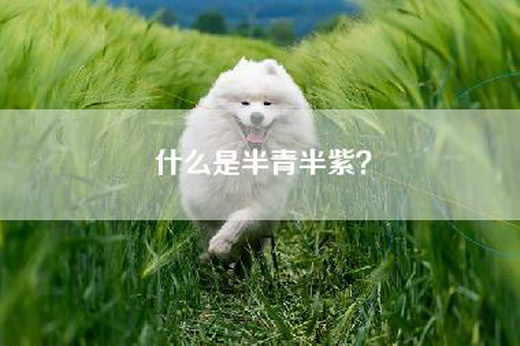 什么是半青半紫？