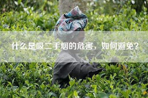 什么是吸二手烟的危害，如何避免？