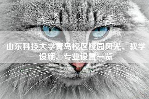 山东科技大学青岛校区校园风光、教学设施、专业设置一览