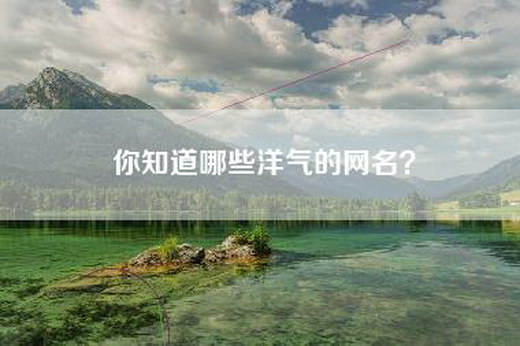 你知道哪些洋气的网名？