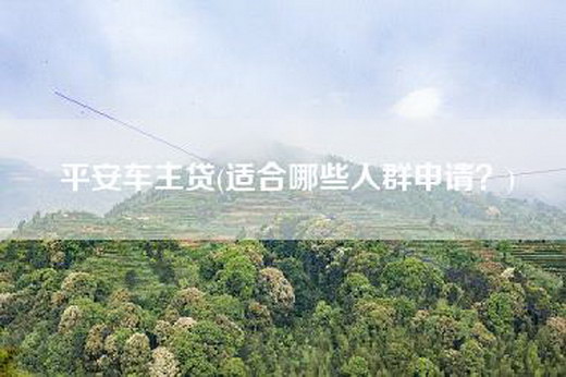 平安车主贷(适合哪些人群申请？)