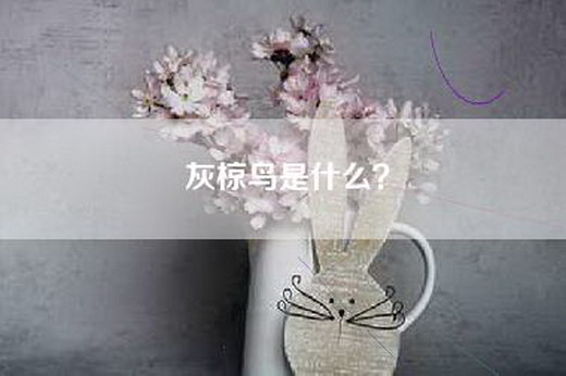 灰椋鸟是什么？