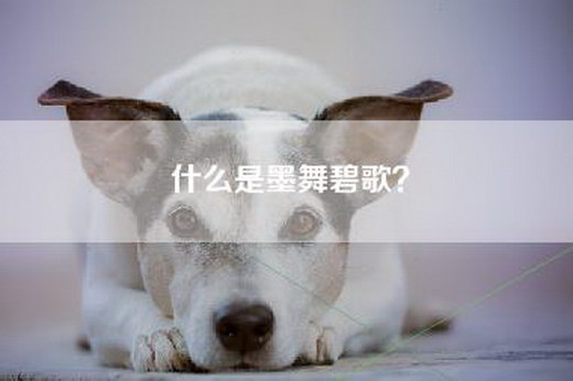 什么是墨舞碧歌？