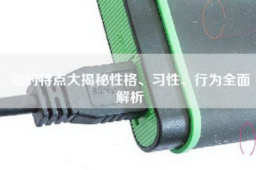 猫的特点大揭秘性格、习性、行为全面解析