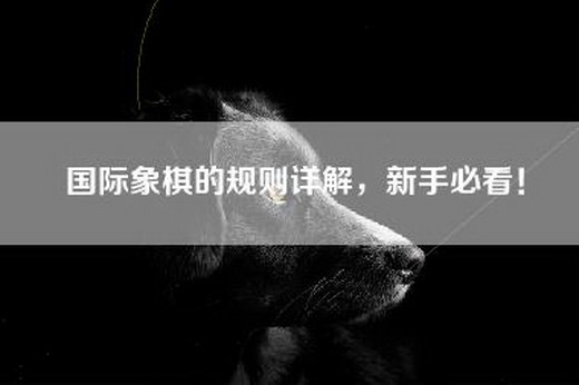 国际象棋的规则详解，新手必看！