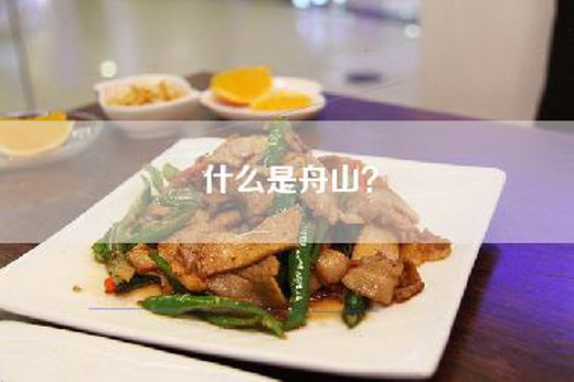 什么是舟山？