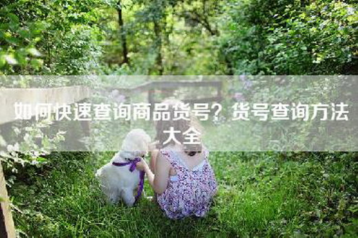 如何快速查询商品货号？货号查询方法大全