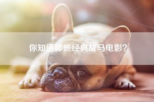 你知道哪些经典战马电影？
