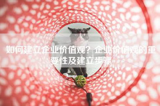 如何建立企业价值观？企业价值观的重要性及建立步骤